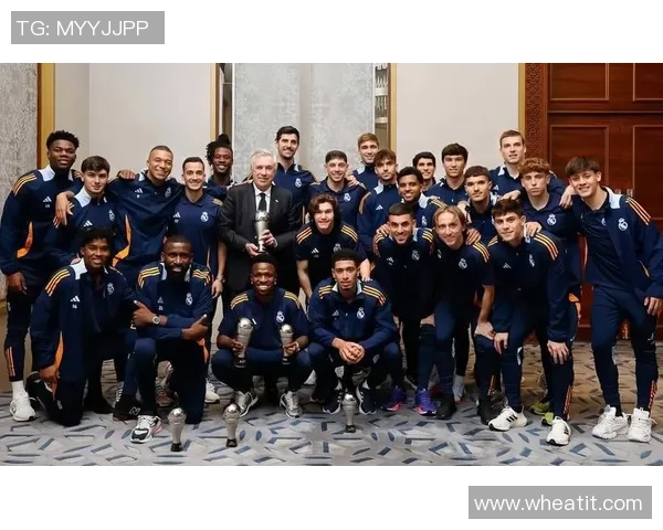 全球足球球星数量统计与分析及其发展趋势探索 全球足球球星数量统计与分析及其发展趋势探索