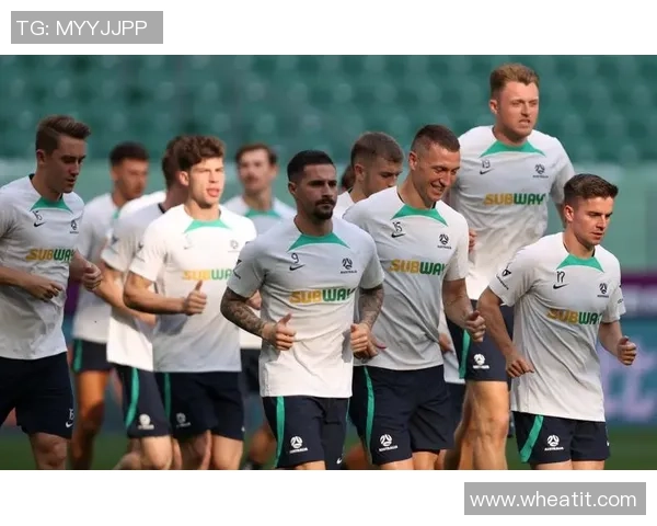 澳大利亚足球队球星介绍及其在国际赛场上的表现分析