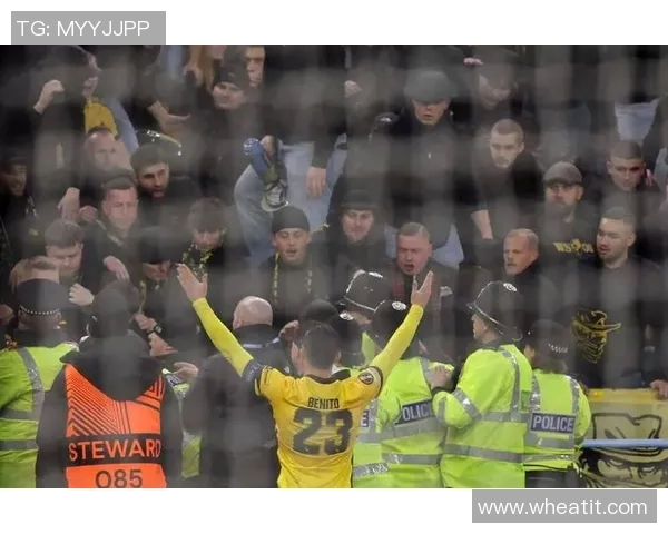 足球巨星观战篮球赛引发热议 他们的视角与球迷截然不同