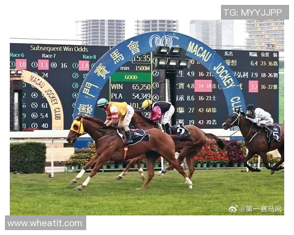 足球明星卡种类全解析从基础到珍藏的全面指南